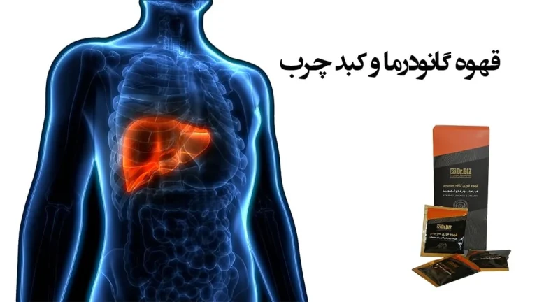 قهوه گانودرما و کبد چرب